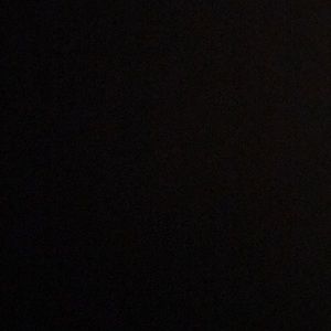 Meet your Posher, Bella